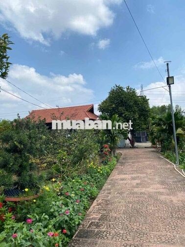 Diện tích 9.747m², khuôn viên rộng, thửa đất có nhiều mặt thoáng, phù