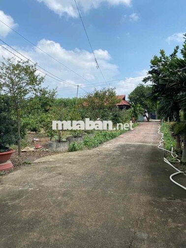 Diện tích 9.747m², khuôn viên rộng, thửa đất có nhiều mặt thoáng, phù