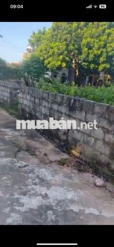 Nhượng đất thổ cư Đông Mỹ Hà Nội