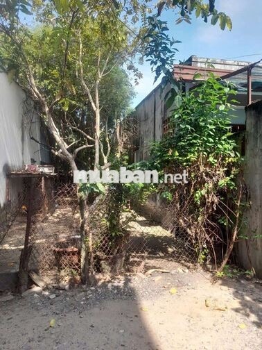 Đất thổ cư 5x24m, hẻm 4m xe hơi gần Nguyễn Văn Bứa ngay ngã tư Hóc Môn