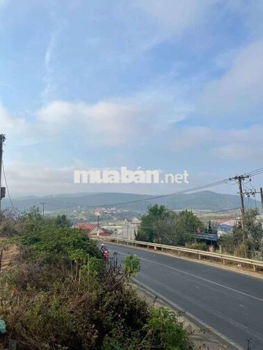 BÁN ĐẤT XD 3533m2 MT QL20 PHƯỜNG XUÂN TRƯỜNG TP ĐÀ LẠT 