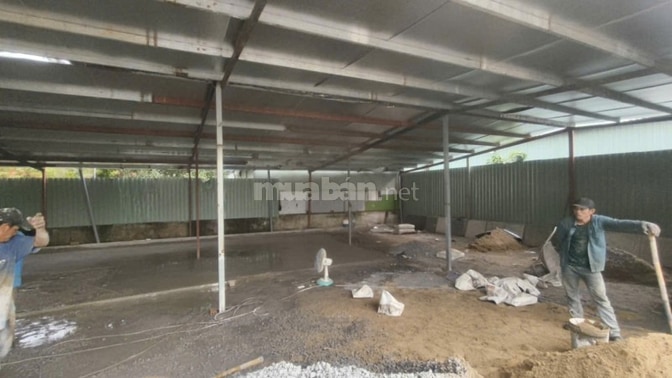 Mặt bằng 2 mặt hẻm 6m 1000m2 kho 350m2 giá 25tr