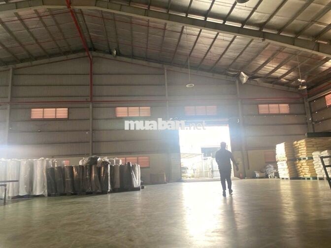 Cho thuê kho xưởng QL1A Bến Lức 8.000m², xưởng 4.000m², PCCC tự động