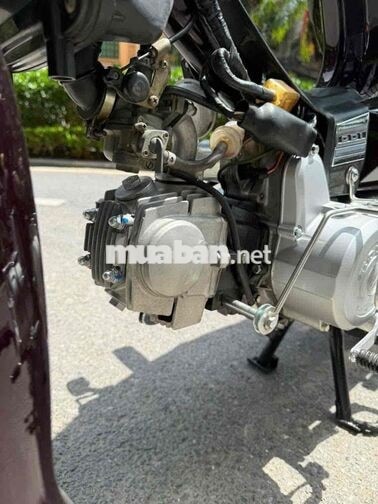 Honda Dream Thái 1999 Đỏ mận