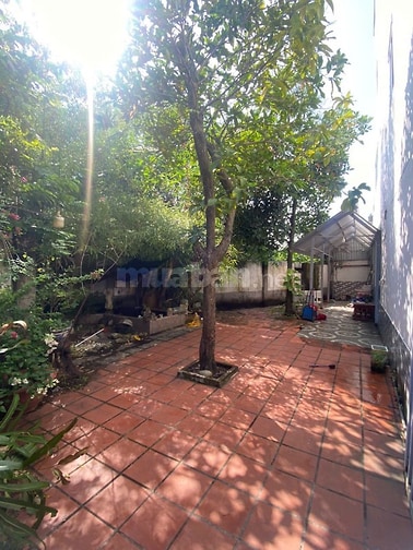 CHO THUÊ NHÀ SÂN VƯỜN 3 TẦNG _HUỲNH TẤN PHÁT, NHÀ BÈ - 8,5 TRIỆU/THÁN