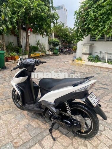 Yamaha luvias bstp