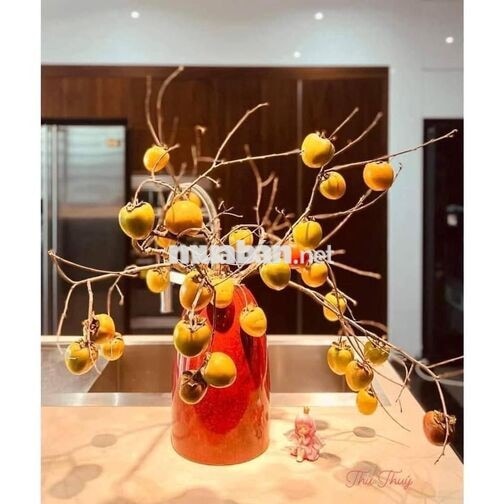 CHO THUÊ NHÀ MT NỘI BÔN PHƯỜNG TÂN QUÝ 3,7 x 18 M ĐÚC 1 TRỆT , 2 LẦU