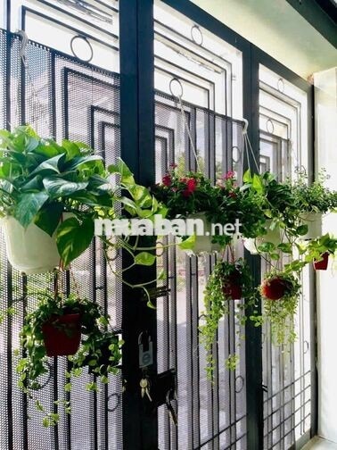 62M² (4X15,5M) 2 TẦNG 2PN 3WC HẺM 8M Ô TÔ THÔNG FULL NT 5,1T TL