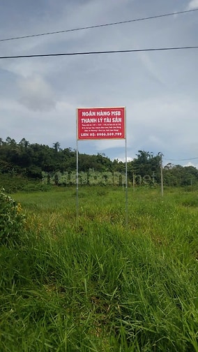 * Tài sản 01: Quyền sử dụng đất tại thửa đất số 129, tờ bản đồ số: 36,