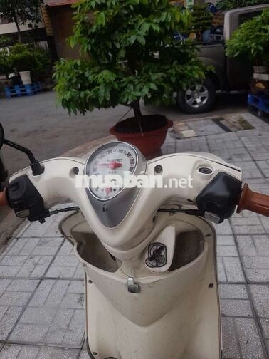 Xe tay ga Honda CLASSICO 2008 Thái Lan màu Kem