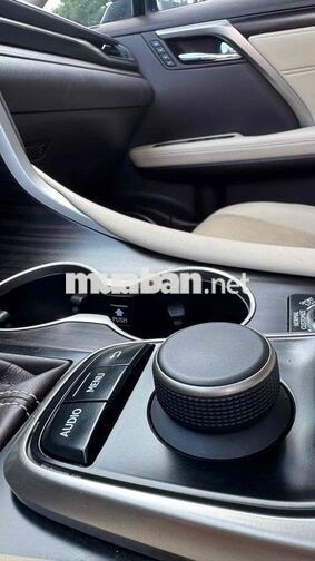Lexus RX300 2019 zin cả xe đẹp xuất sắc, cực mê.