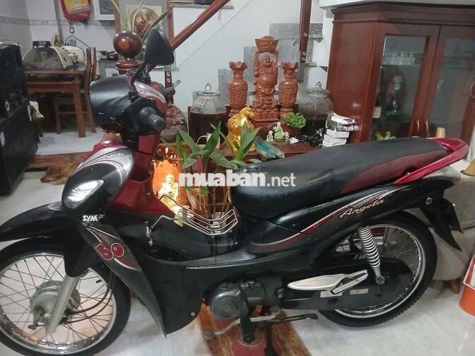 SYM Angela 50cc không cần bằng lái cho HSSV bstp