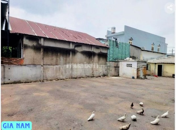 BÁN NHÀ 2 MẶT TIỀN TRƯỚC VÀ SAU : 231 XÔ VIẾT NGHỆ TĨNH - P. 28 - Q.BT