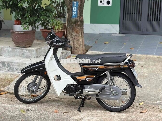Honda Dream Thái Lùn Đen, Trắng