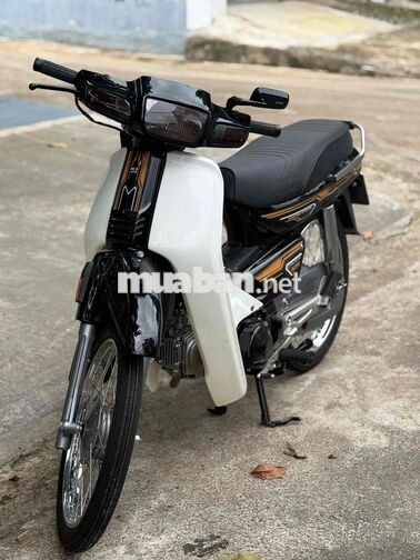 Honda Dream Thái Lùn Đen, Trắng