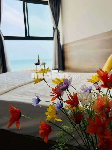 Cho thuê căn hộ view biển full nội thất cao cấp chuẩn khách sạn 5 sao
