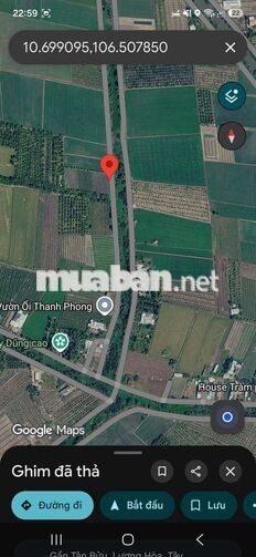 bán đất nông nghiêp gần tp HCM