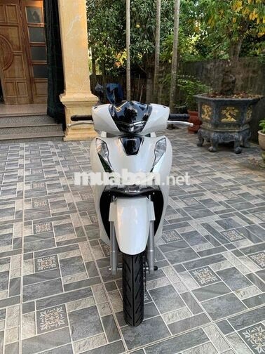 Honda SH 125 CBS 2025 Trắng