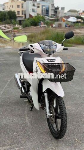 Honda Future Led 2025 up kiểng