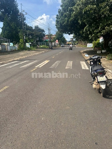 Mua nhà trực tiếp chính chủ Chư Păh 132 m thổ cư, giá 2 tỷ 050 triệu