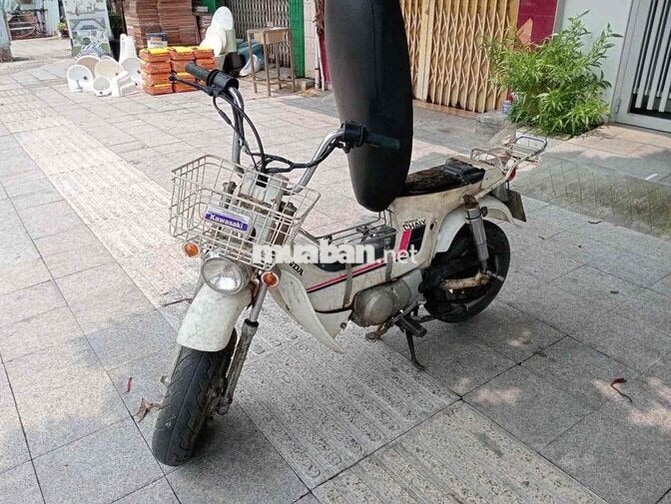 Honda chaly 80