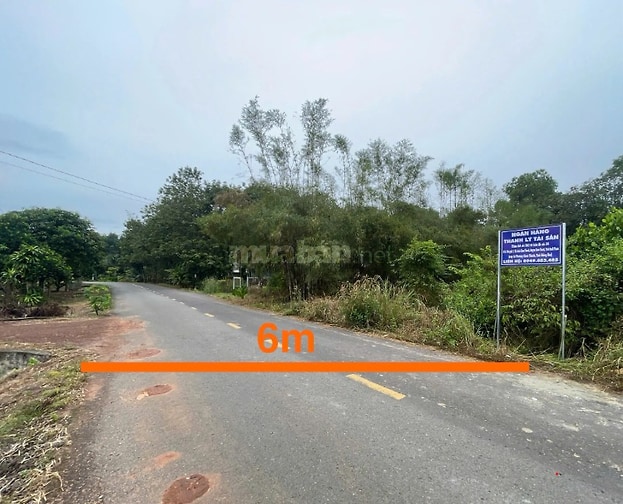 Công ty Đấu giá hợp danh Lam Sơn Sài Gòn THÔNG BÁO ĐẤU GIÁ TÀI SẢN
