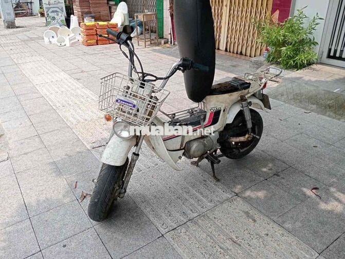 Honda chaly 80
