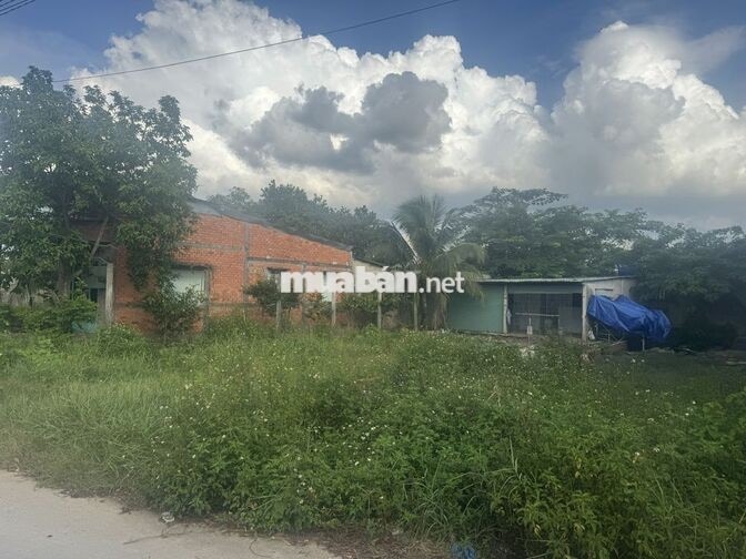 chính chủ bán đất nền full thổ cư
