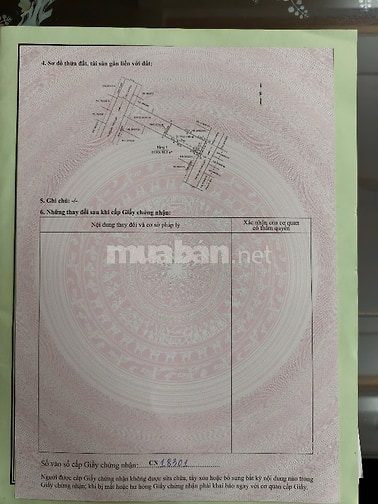 BÁN NHÀ CHÍNH CHỦ + 4 PHÒNG TRỌ NGUYỄN TRIỆU LUẬT 