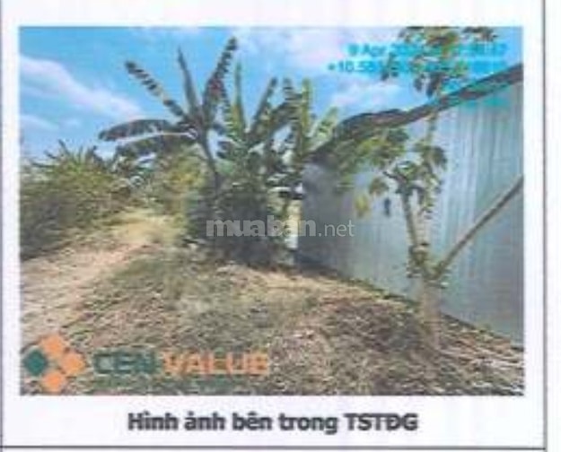 Bán 333,7m2 ODT tại phường Mỹ Hòa, thành phố Long Xuyên, tỉnh An Giang