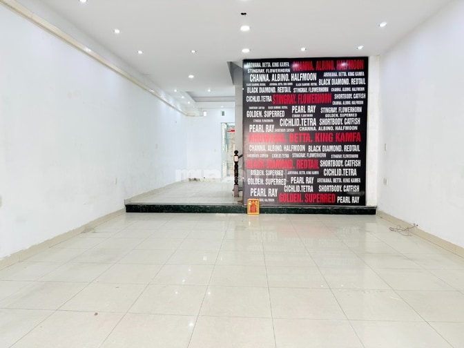 Có vài căn nhà phố mặt tiền cho thuê khu Tên Lửa Bình Tân