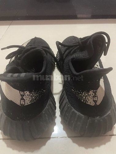 Thanh ly giay Adidas xach tay tu Uc 