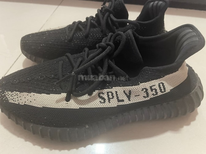 Thanh ly giay Adidas xach tay tu Uc 