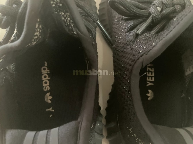 Thanh ly giay Adidas xach tay tu Uc 