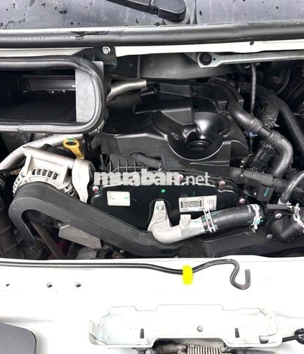Ford Transit 2024 16 chỗ Trắng 80000 km