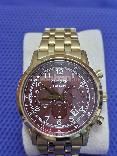 Đồng hồ Citizen Eco - Drive mặt đỏ 