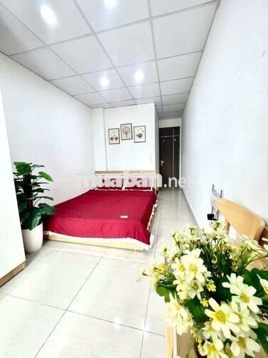 Cho thuê CCMN 25m2 Full đồ. bếp tách riêng tại Vũ Ngọc Phan