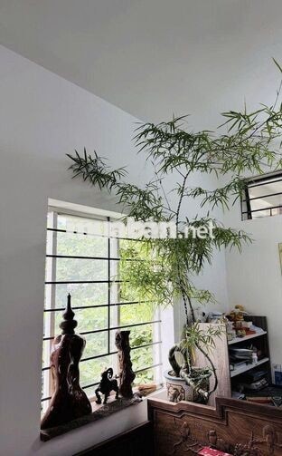 Bán chung cư Trần Quang Diệu 45m2 - 1Pn- Đủ nội thất