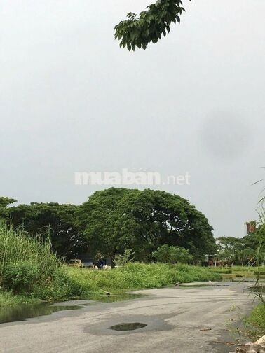 CHO THUÊ NHÀ 3 LẦU 4PN 3 NVS, ĐƯỜNG SỐ 10 - KDC CÔNG TY 8 HƯNG PHÚ