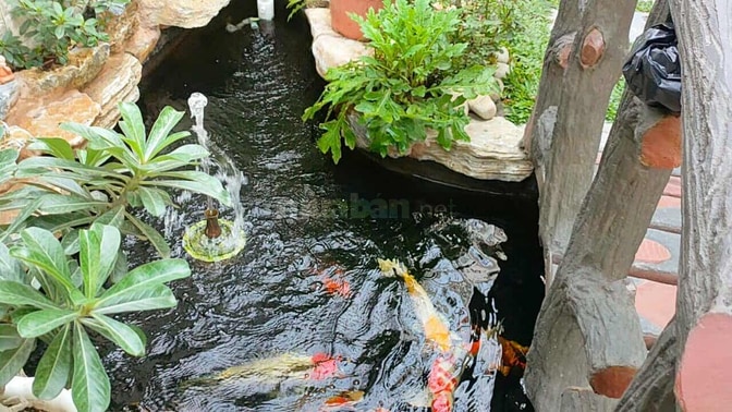 Bán nhà cấp 4 mái Thái kiểu dáng đẹp
