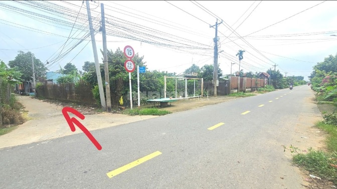 BÁN GẤP GẦN 2HA ĐẤT KÈM 1.800 GỐC MAI ĐÃ TÁCH 16 SỔ PHỦ HỒNG TOÀN BỘ