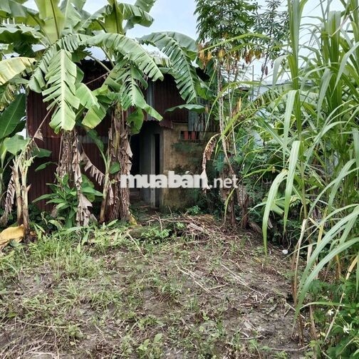 💥1,4 tỷ/430,9m² đất tại ấp 2 xã Bình Chánh TP HCM