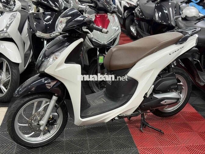 💥Vision 2024 ĐKLĐ 2025 SMK BSTP Chính Chủ💥