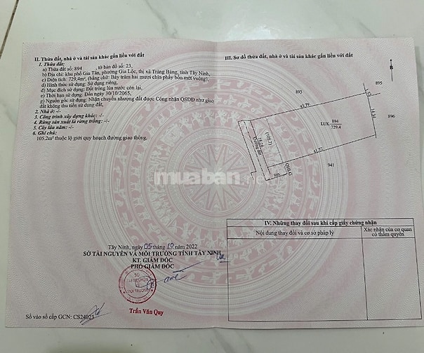 Bán nhà vườn 3 phòng ngủ phù hợp nghỉ dưỡng