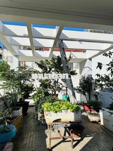 Hẻm 3m Đất Thánh P6 Tân Bình, 4x17m, 2 lầu ST, 4pn 5wc giá 15tr