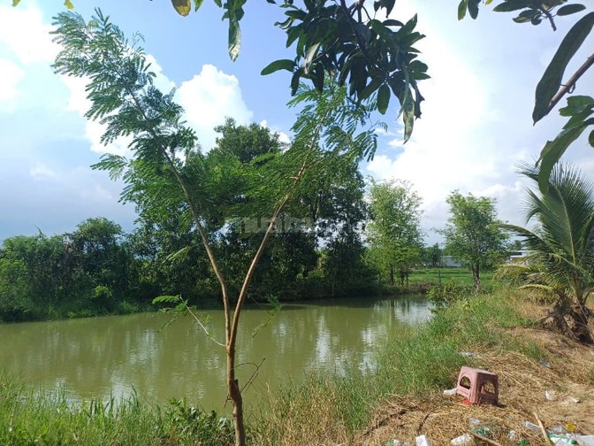 Bán 2,3 hecta đất vườn trái cây, có suối chảy xung quanh, cách quốc lộ