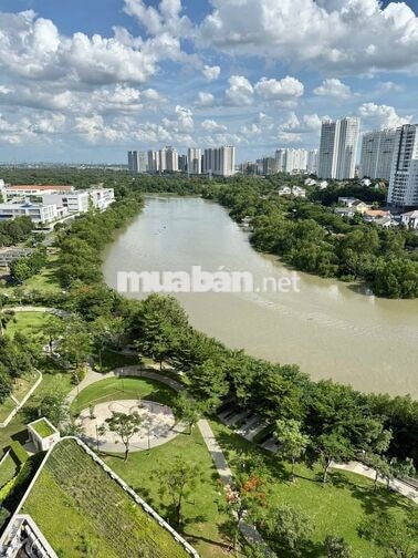 Cho thuê 出租公寓아파트 임대căn hộ view sông River Park Phú Mỹ Hưng giá tốt