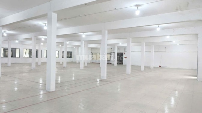 Cho thuê kho quận 10, DT: 850m3