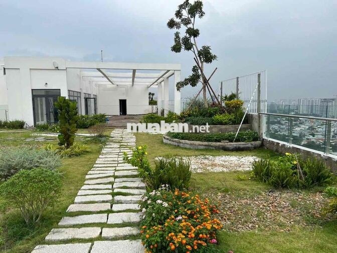Căn hộ sẵn sổ hồng cần bán gấp; 2pn2wc khu Terra Mia Bình Chánh