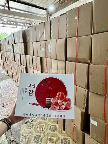 Hồng Treo Gió Hàn Quốc_Món quà Sức Khỏe Tặng, Biếu, Đi chơi, Thăm hỏi